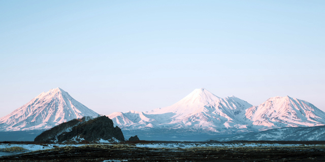 枫树浏览器怎么样(枫树浏览器安卓版免费下载)插图2